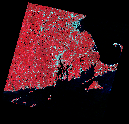 圖十三:校正後的影像。