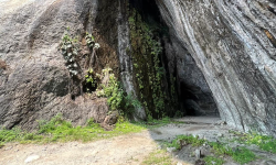 Featured image of post 八仙洞