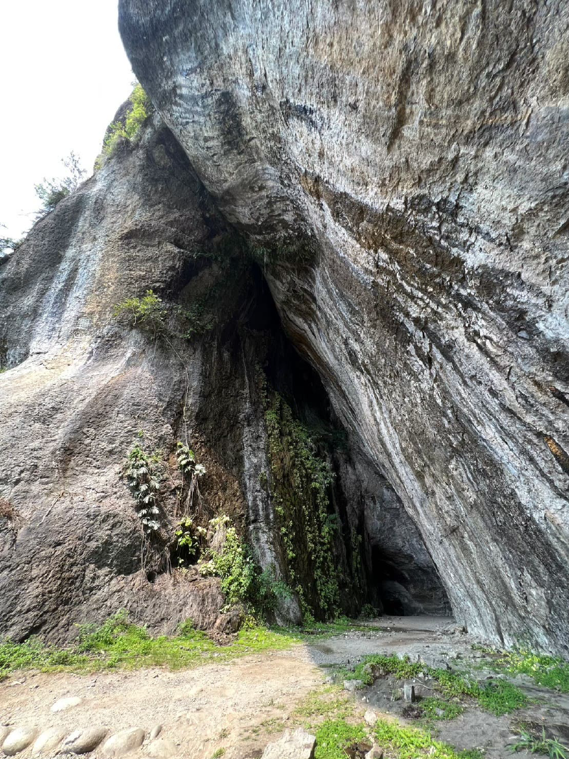 Featured image of post 八仙洞