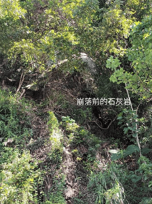 秀姑巒溪床上的石灰岩崩落前的樣子