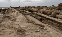 Featured image of post 小野柳