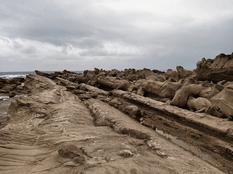 Featured image of post 小野柳