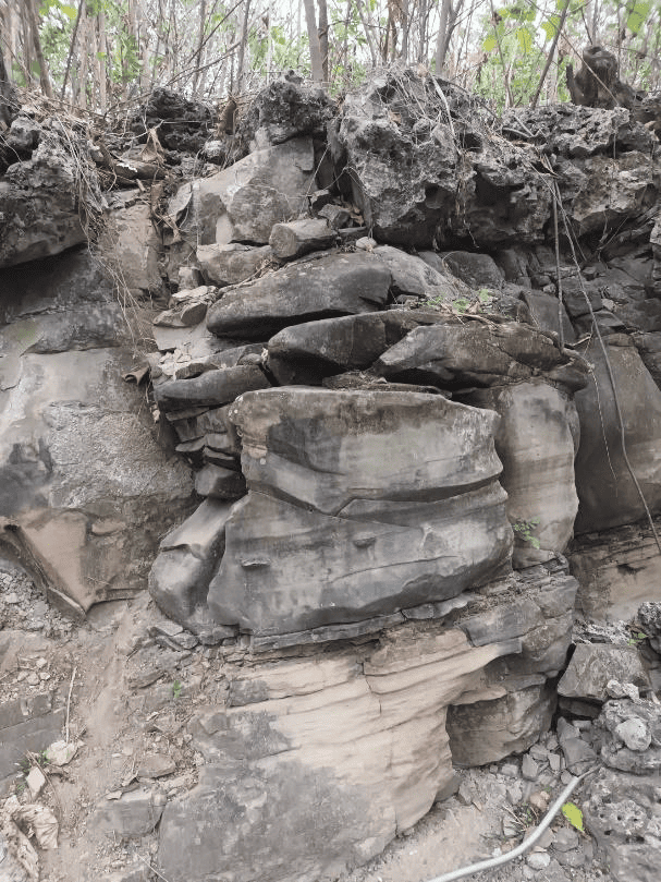 珊瑚礁與砂岩。依照疊置原理,珊瑚礁是較晚期附著在砂岩上,代表砂岩曾經在海底。