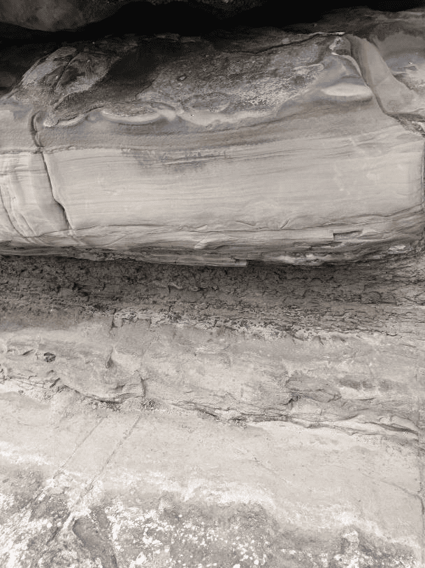 小野柳的砂岩。砂岩裡夾了非常薄的泥岩,為在大陸棚附近形成的沉積岩,夾雜的泥岩後來為沉積岩掉入溝裡所形成。