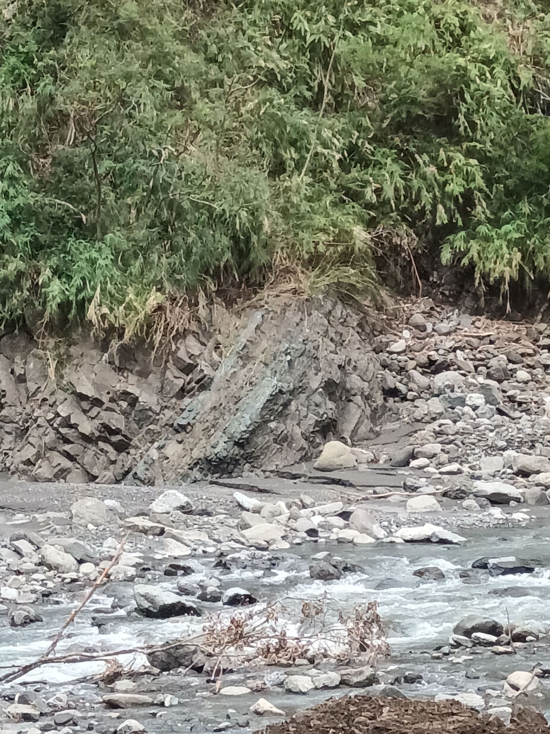 在火山噴發後期,火山灰受重力下滑重新沉積,外觀為層狀堆疊,看起來像砂岩。為火山灰質的砂岩,鱉溪的再堆積火山碎屑岩,綠色沉積部分為綠泥岩。