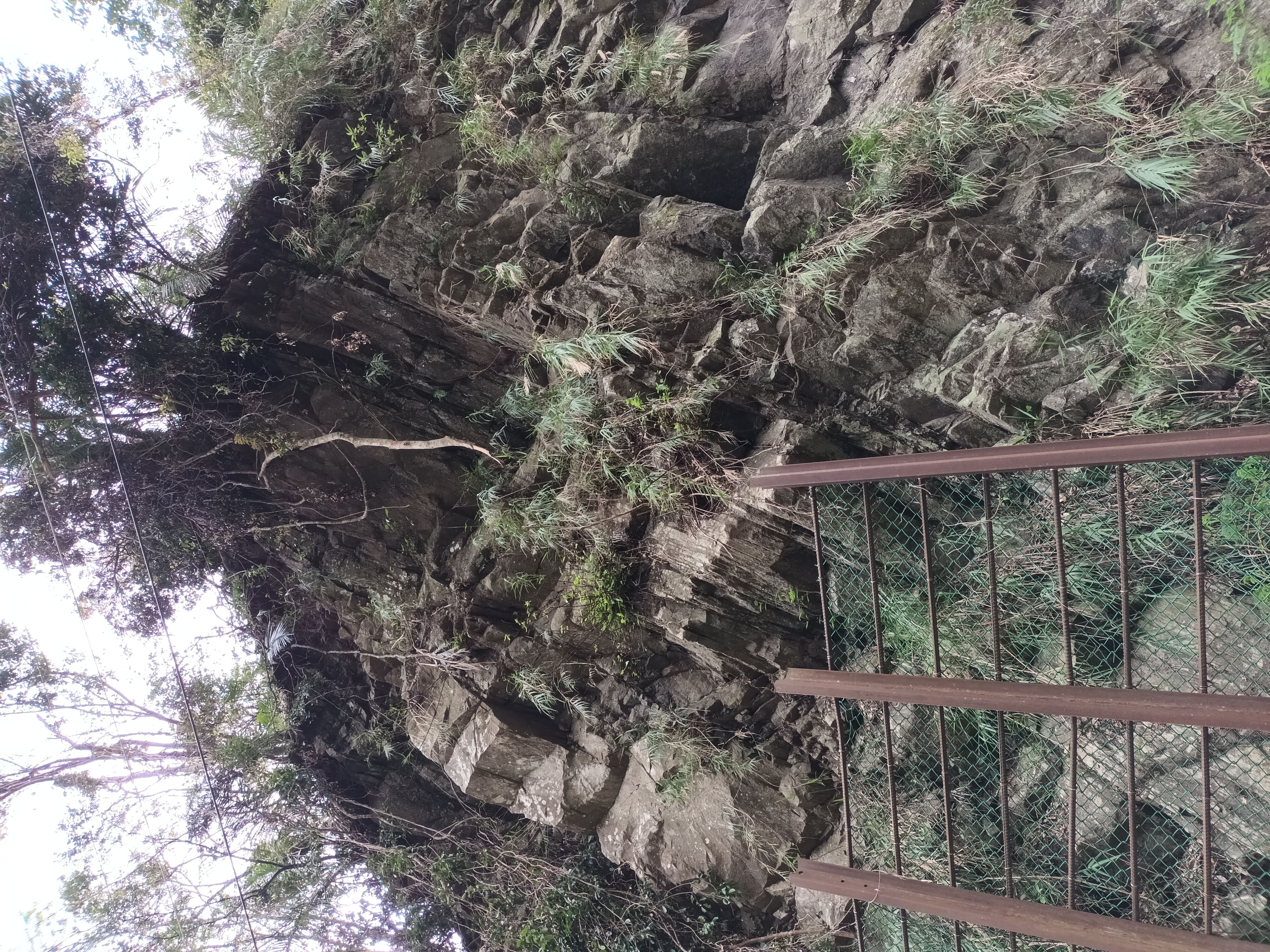 都巒山層火山角礫岩。