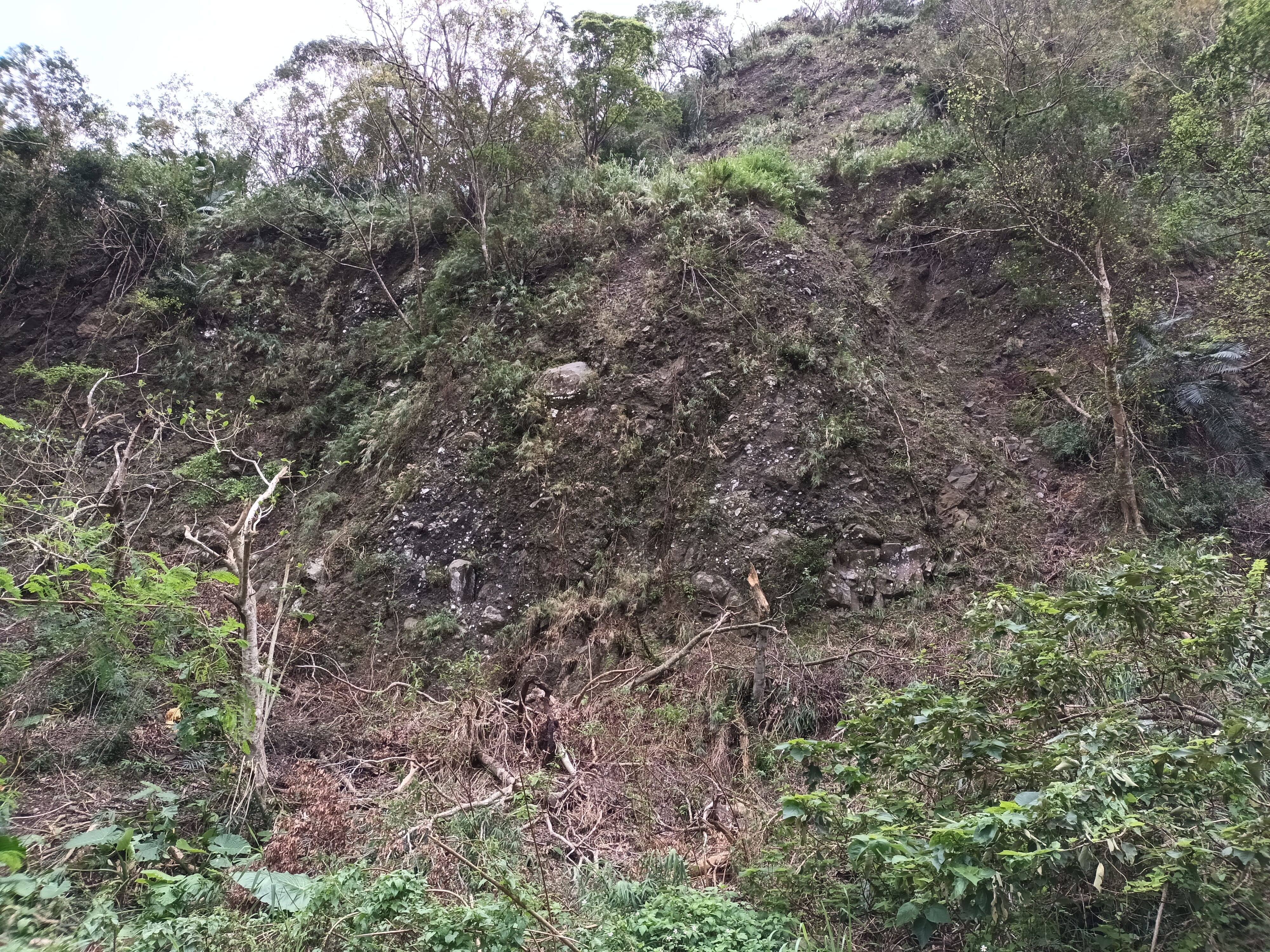 安山岩質角礫岩。