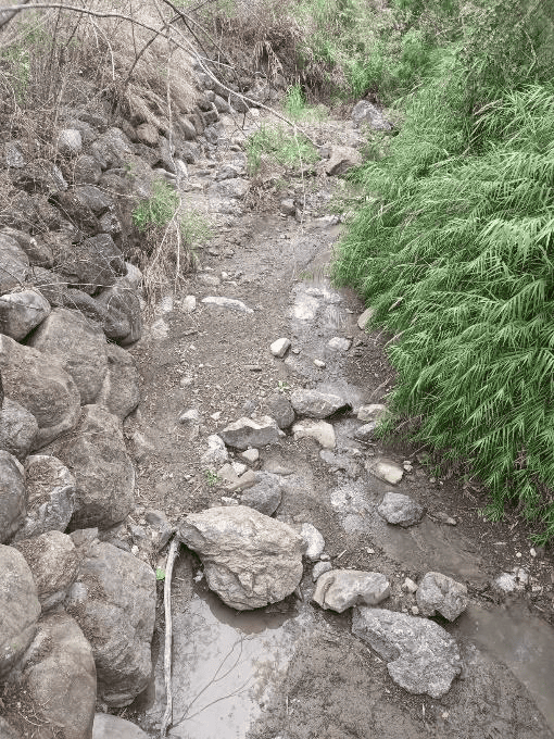 這些大石塊是夾雜在泥岩裡的外來岩塊，與臺灣島的形成有關。