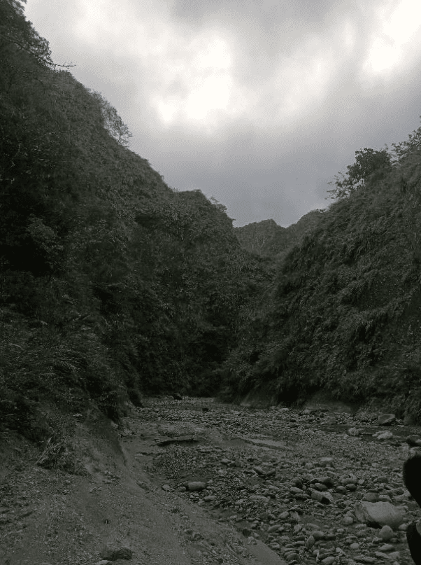 橄樹橋下的河床