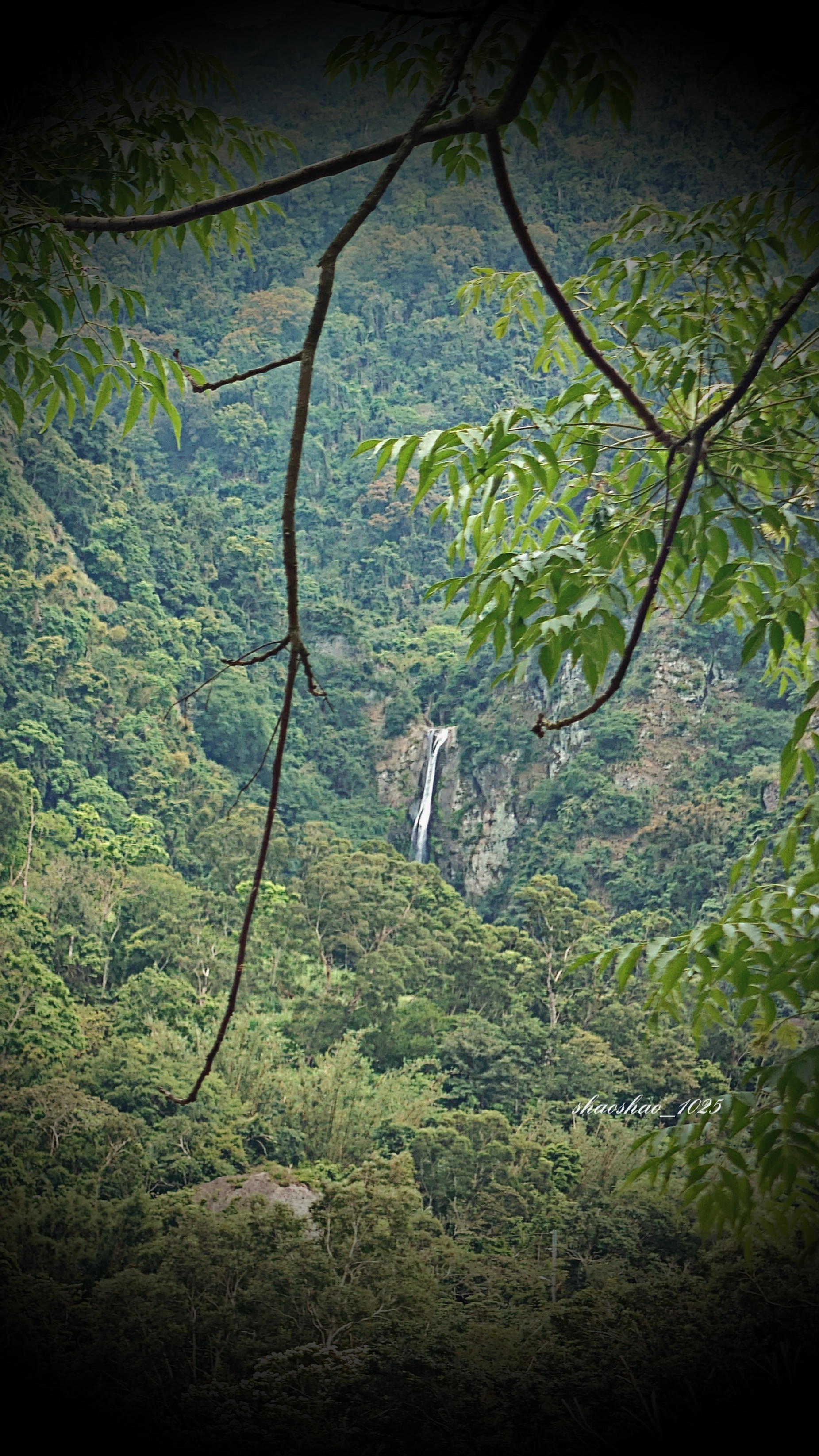 羅山瀑布。屬斷層側立面地形的崖壁瀑布。