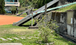 Featured image of post 池上大坡國小
