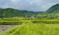 Featured image of post 新社