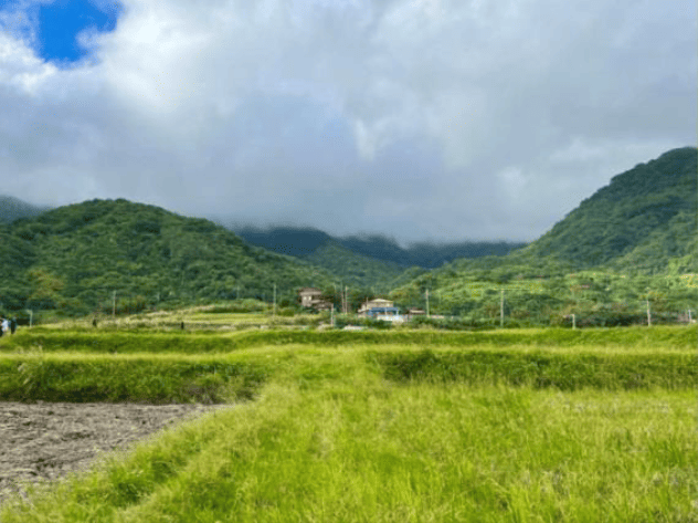 新社梯田(面向中央山脈)