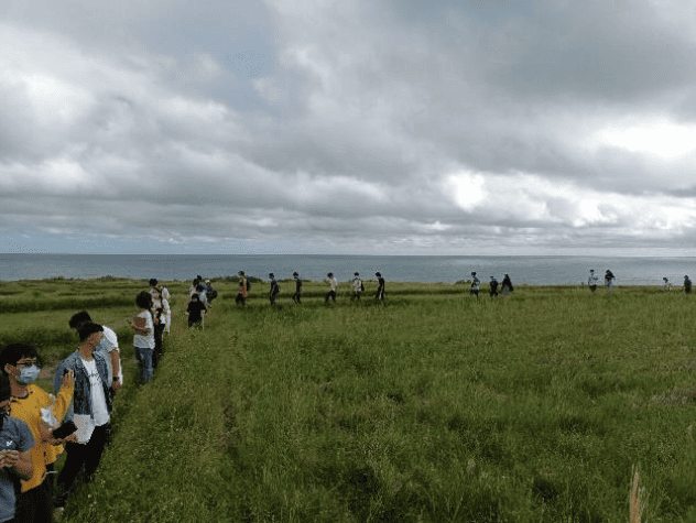 新社梯田(面向太平洋)