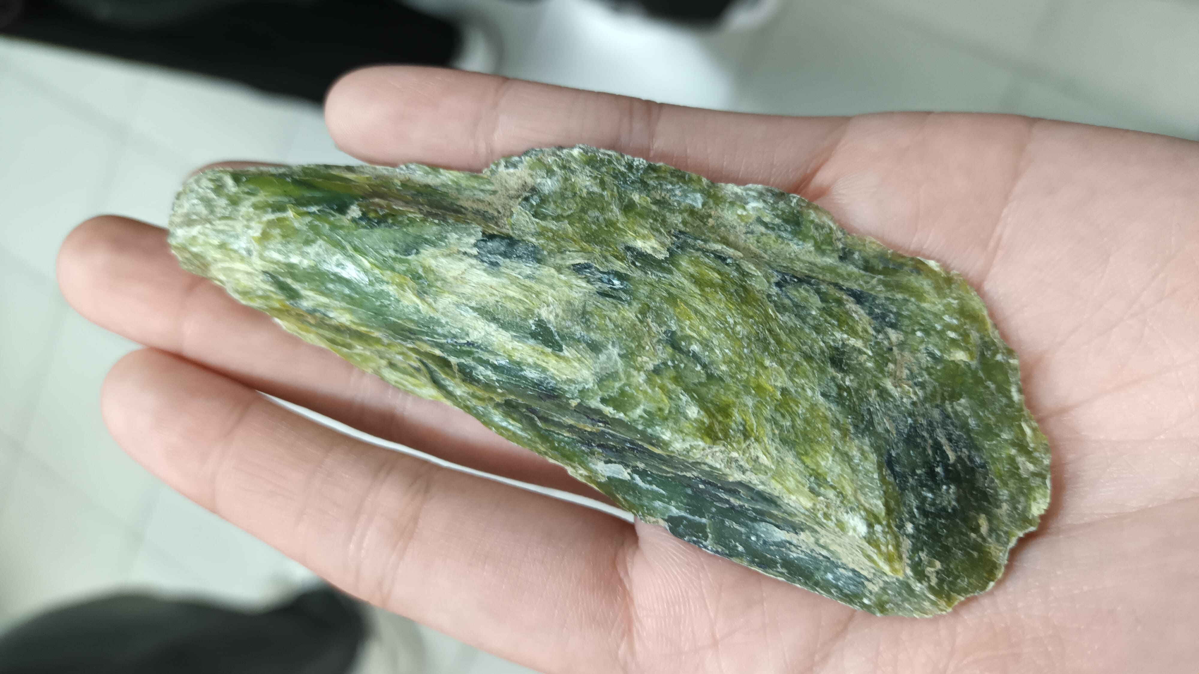 此實驗室的礦物標本之一，研究員說這顆蛇紋石是在花蓮白鮑溪撿的。